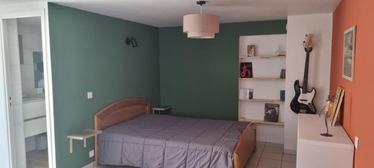 Studio En Plein Coeur De 沙纳克 外观 照片
